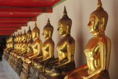 Wat Phra - Buddha rows