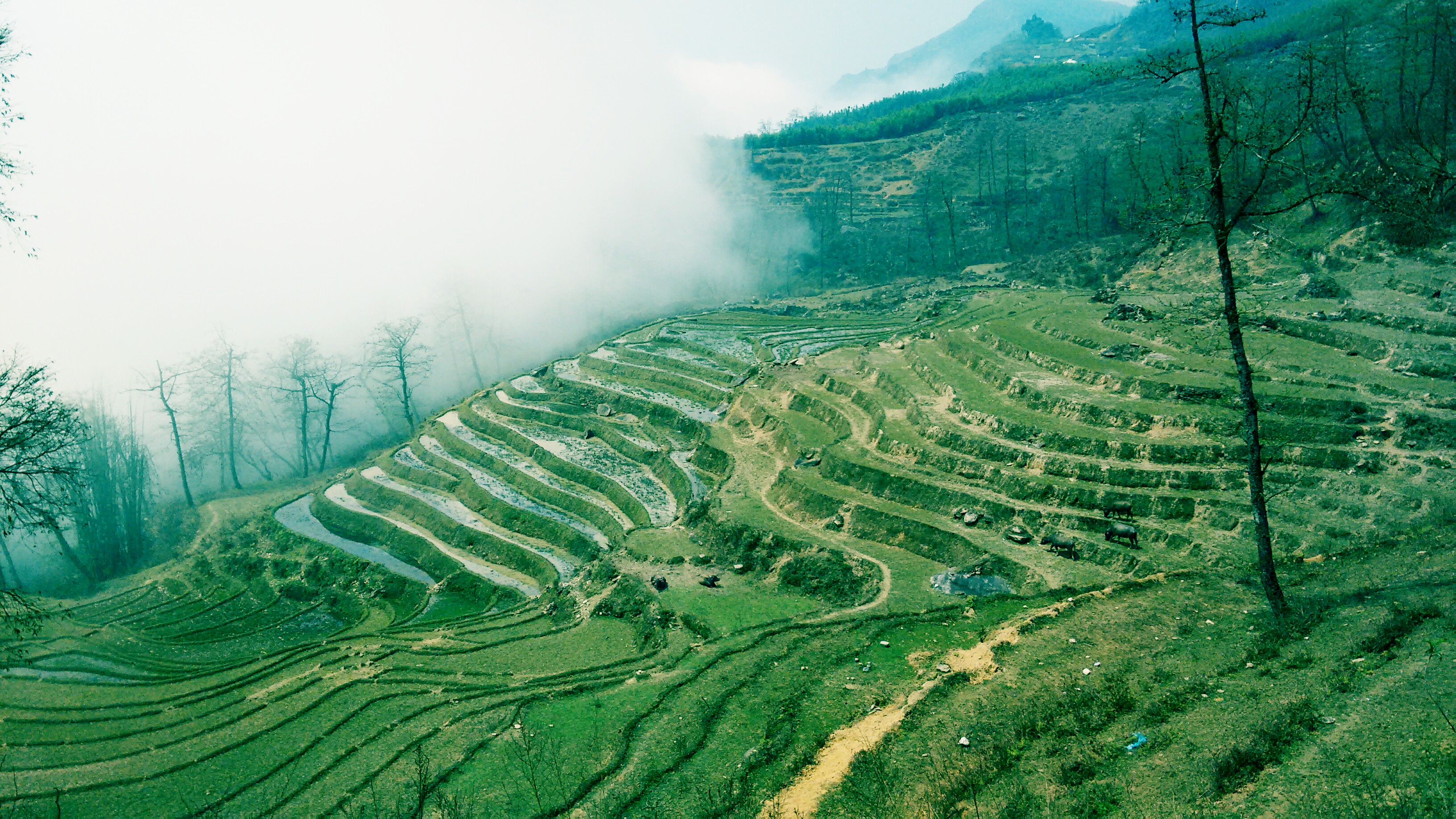 SaPa Vietnam