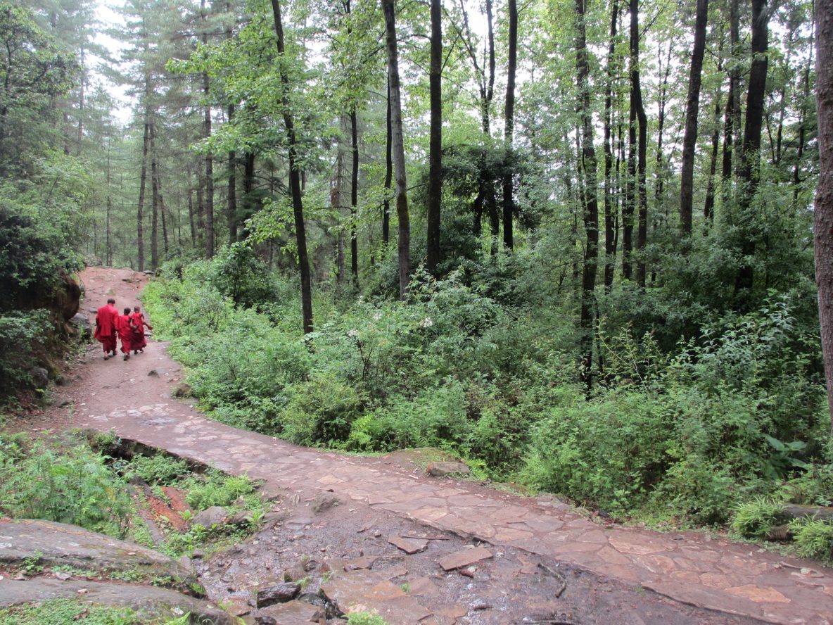 Tiger nest trek