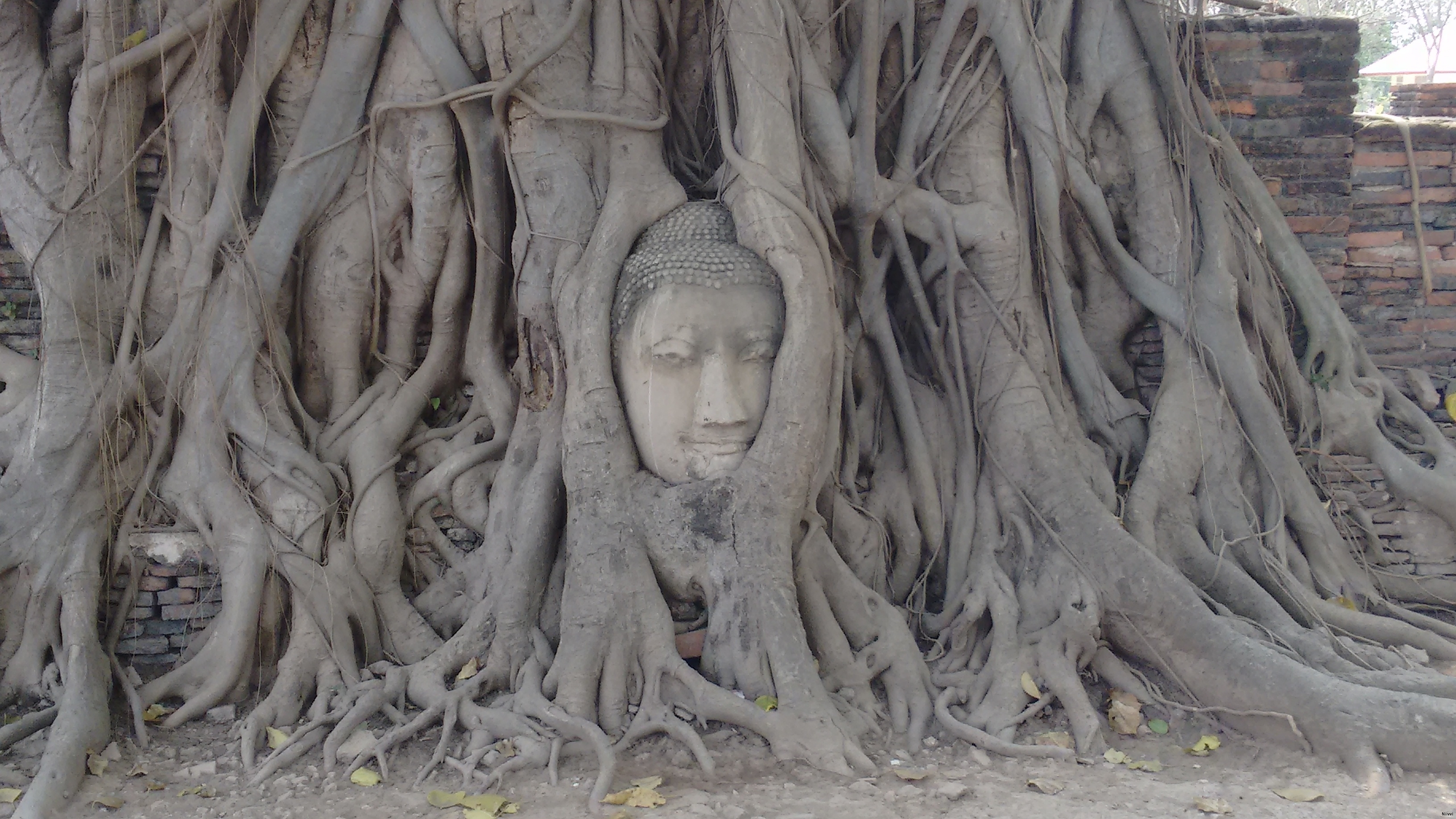 Ayutthaya